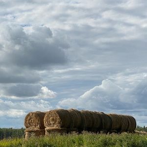 Meet your Posher, Roxanne